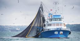 Commercial Fishing Boat